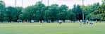 Campo abierto del parque con árboles al fondo y personas en la distancia