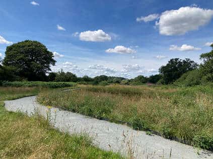Sweet Briar Marshes