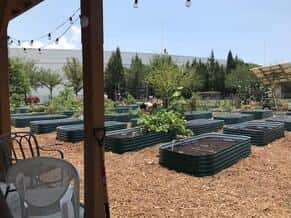 Tampa Heights Community Garden