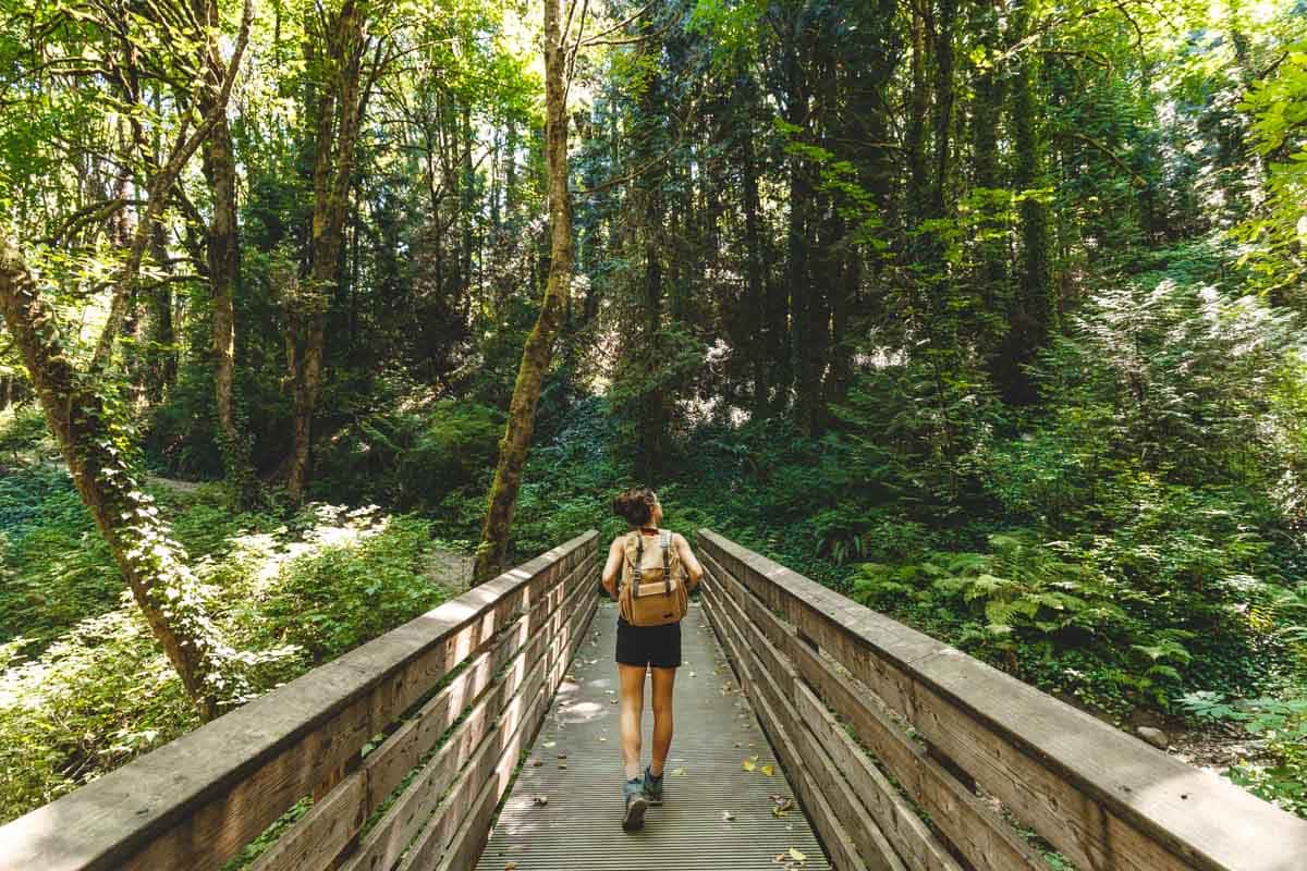 Marquam Nature Park Stewardship Event