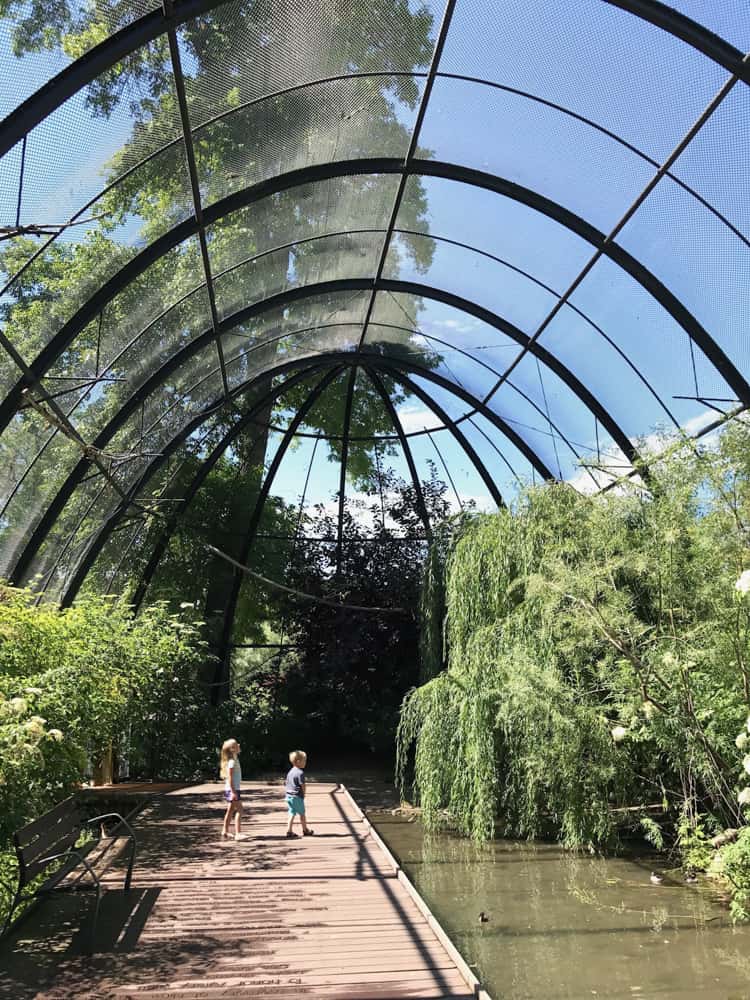 Tracy Aviary