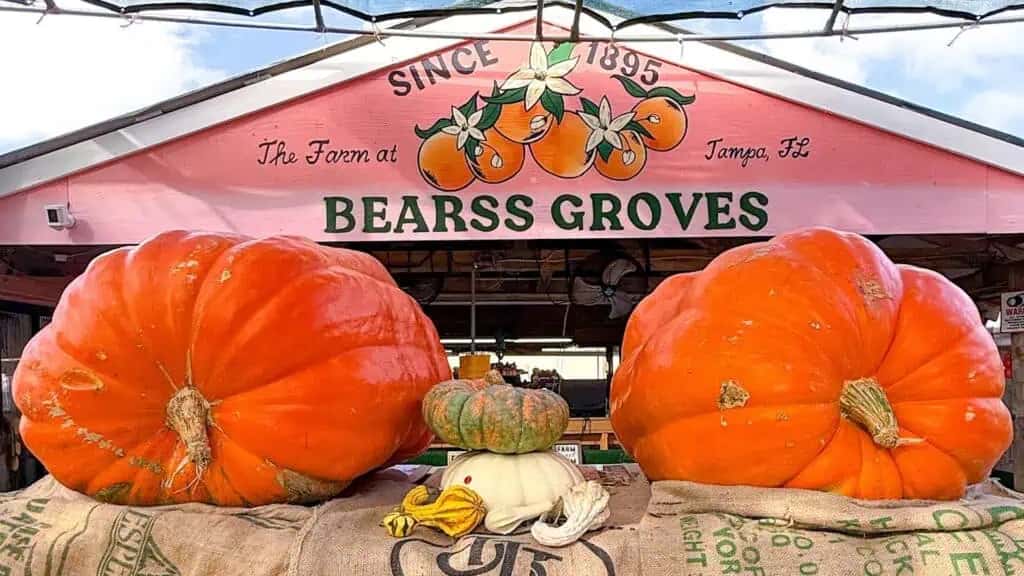 Bearss Groves