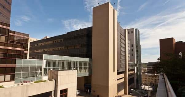 Research Pathways: Meet a Nurse Scientist