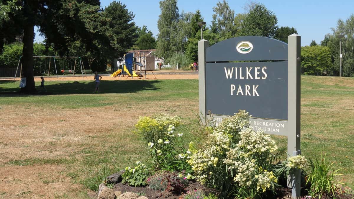 Wilkes Park Pollinator Patch Volunteer Day