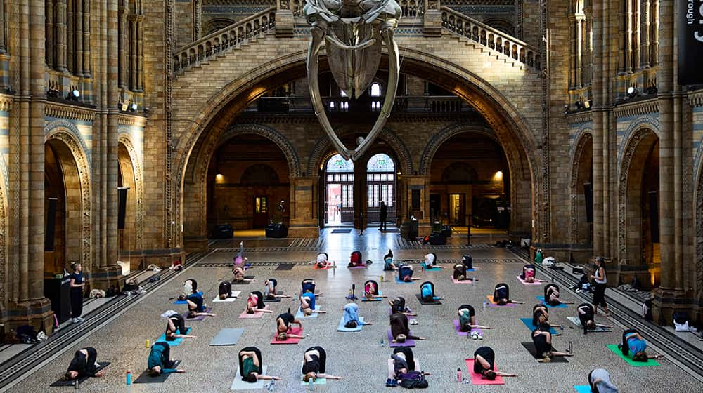 Yoga at the Natural History Museum