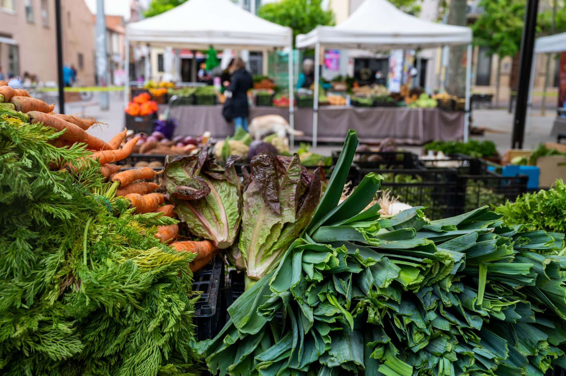 Mercat de productes ecològics i de proximitat