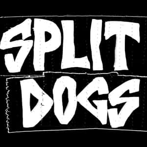 Split Dogs en Sala Upload