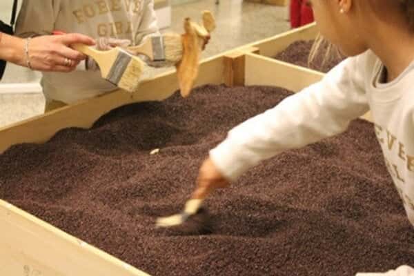 Taller: Excavando en familia