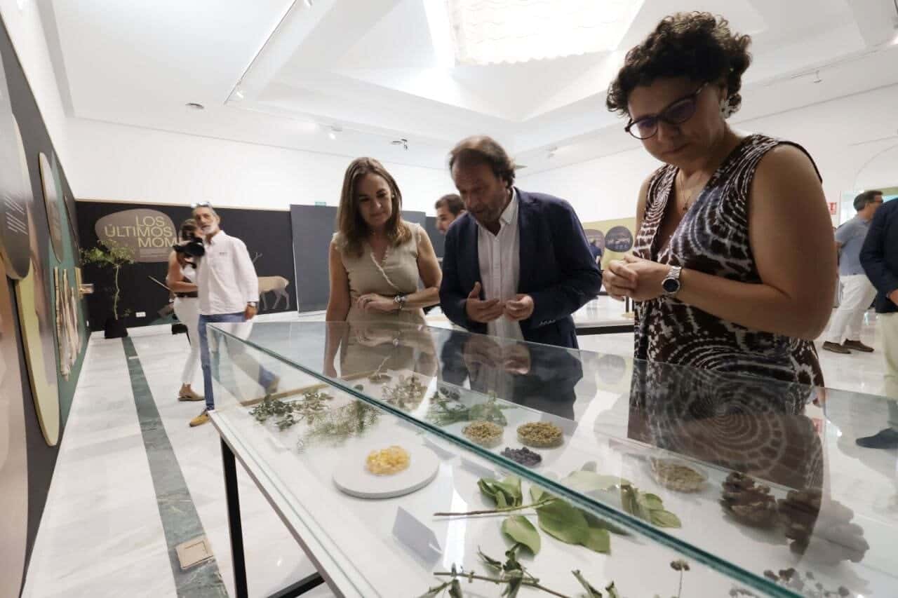 El declive neandertal hace 45.000 años: Crisis climática y la llegada del Homo sapiens