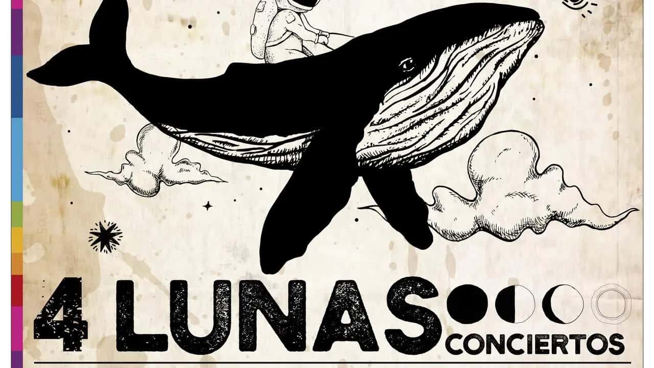 Festival 4 Lunas