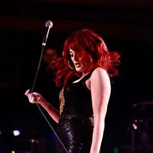 Save Ferris - It Means Everything 29-Year Anniversary Tour