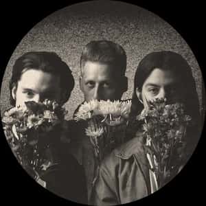 Healing Gems w/ lluvii and The Flowertones