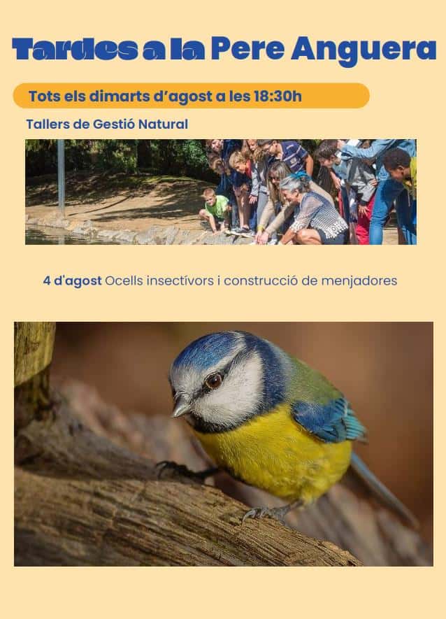 Tallers Gestió natural: Ocells insectívors i construcció de menjaders