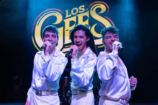 DJ 70's Oli Comediscos + Los Gees. Tribut als Bee Gees. Nits d'Estiu 2026