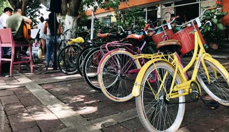 Bike tour