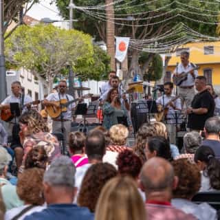 VIII Festival de Solistas El Mesturao