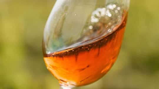 Vineyard Tour and Wine Tasting