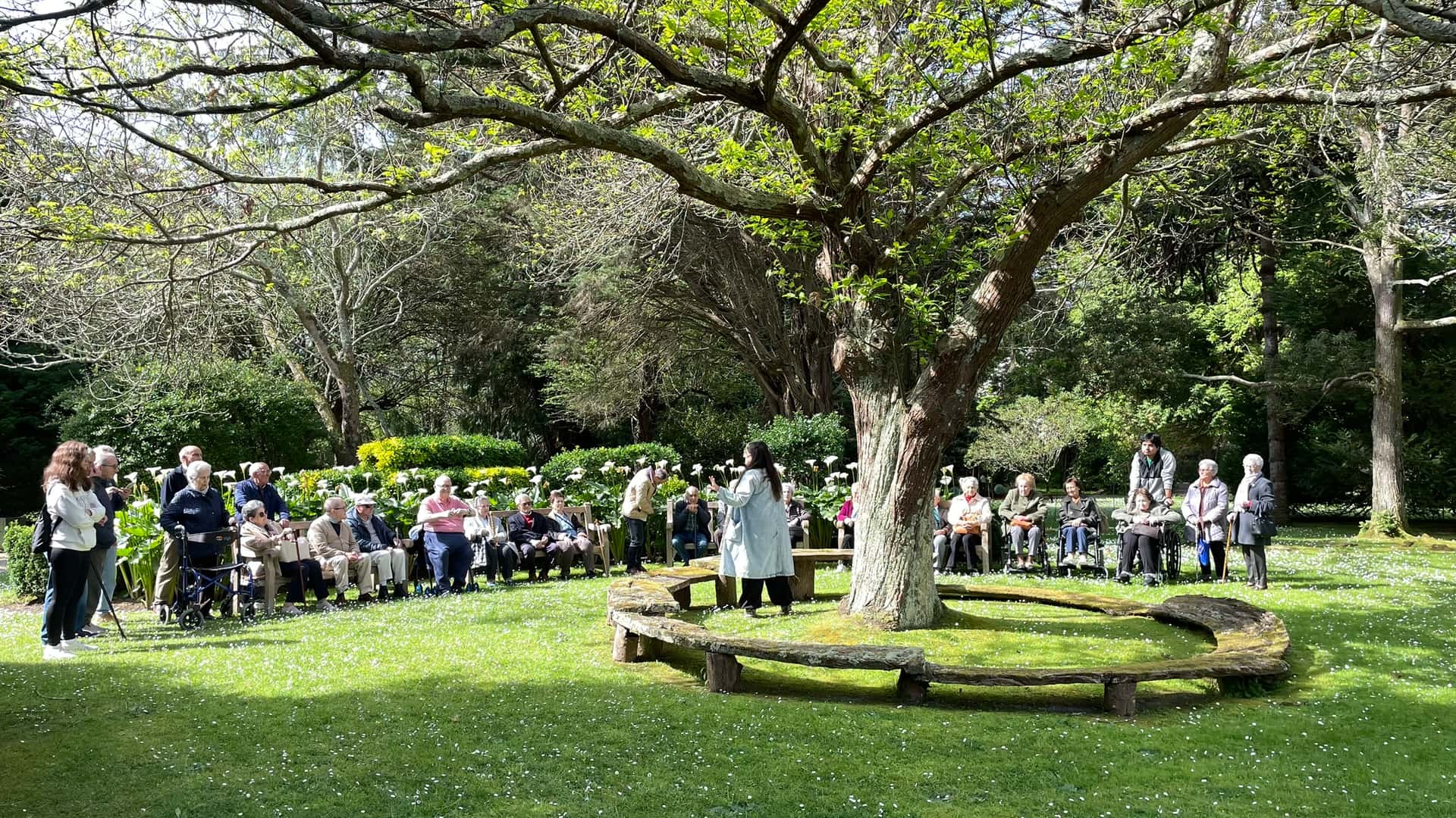 Descubriendo los Jardines Históricos del Museo Evaristo Valle