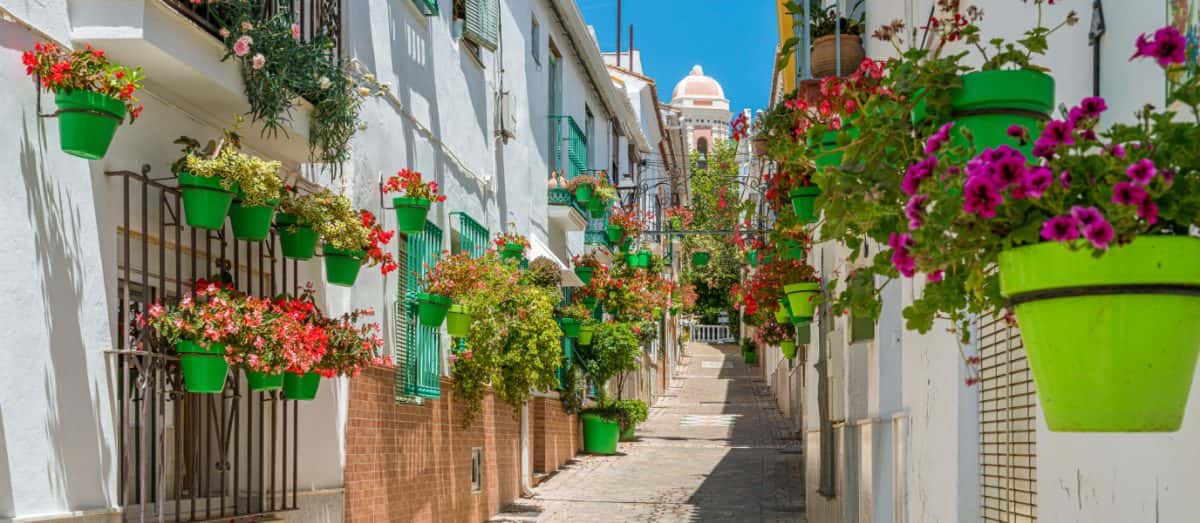 Estepona Vive sus Calles en Otoño