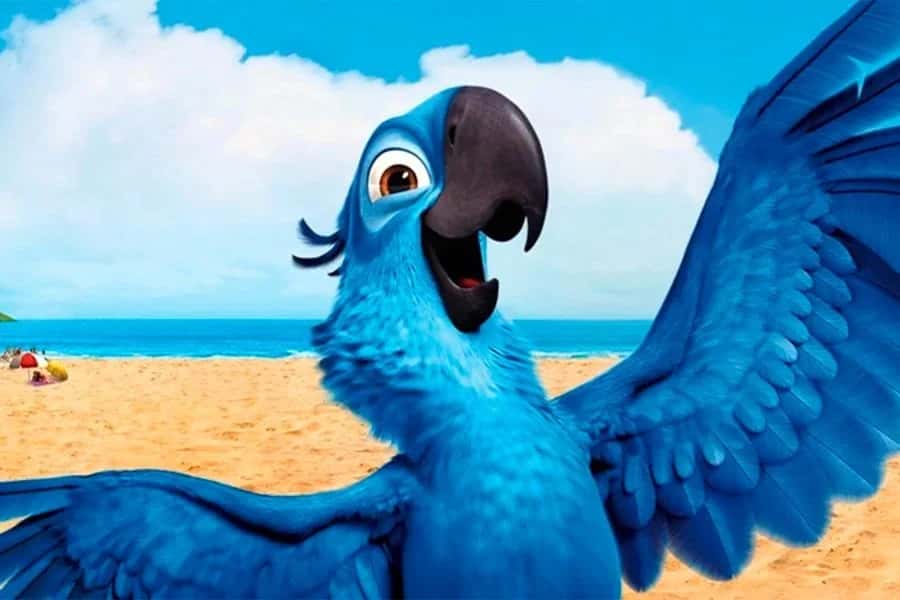 Rio