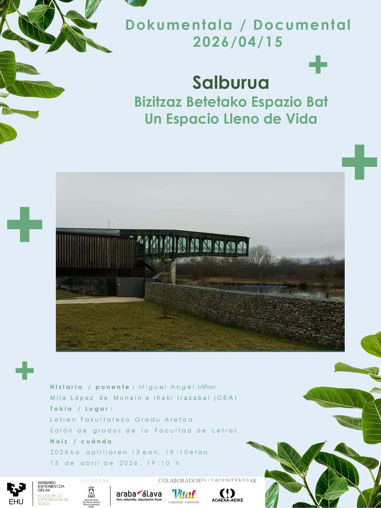 Salburua: Un Espacio Lleno de Vida