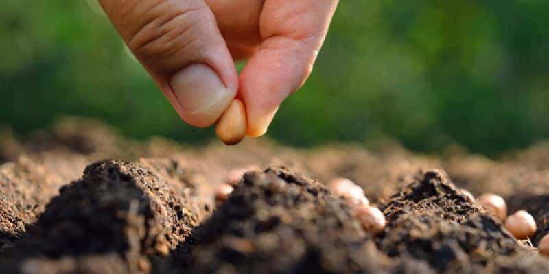 III Encontro de Troco de Sementes e Saberes