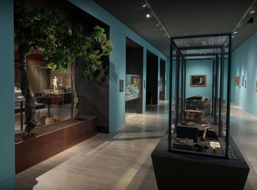 Visitas guiadas a la exposición Convivium. Arqueología de la dieta mediterránea