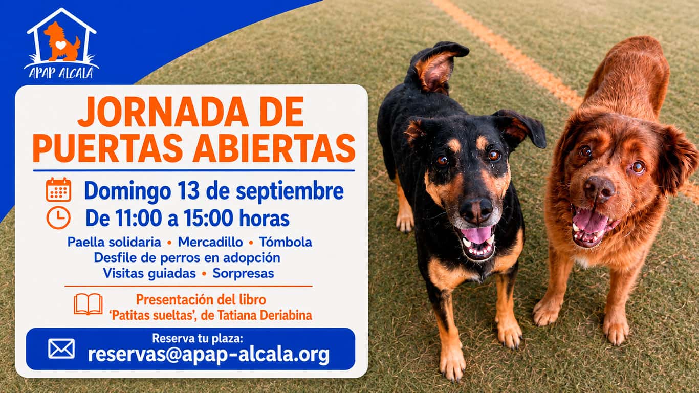 Jornada de Puertas Abiertas de APAP Alcalá