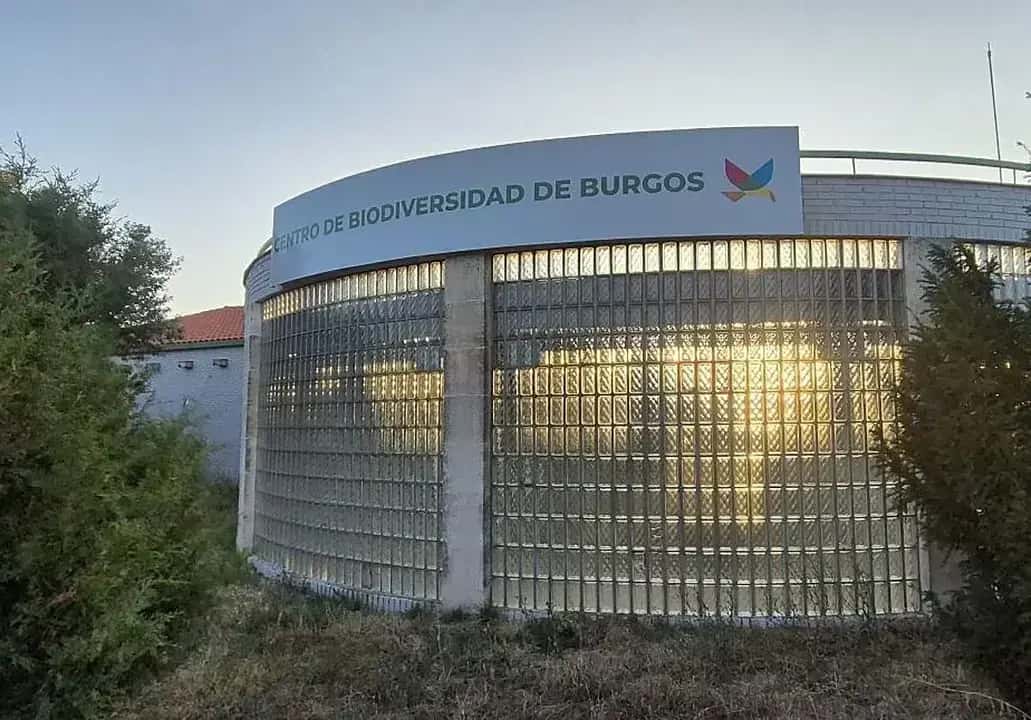 Taller de anillamiento en el Cerro de San Miguel