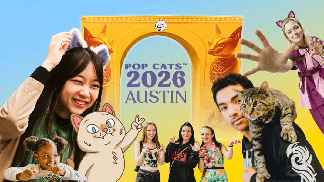 POP Cats 2026