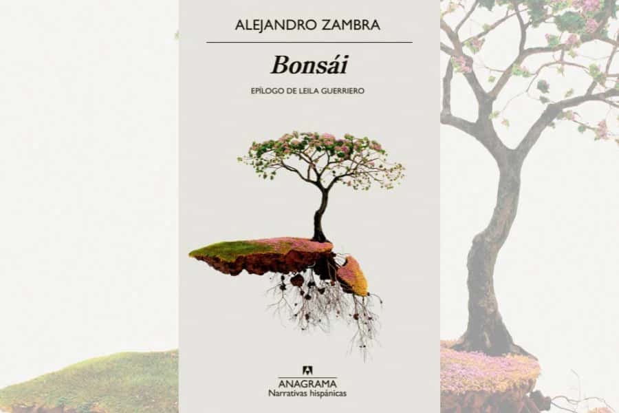 Tertulia literaria: Bonsái de Alejandro Zambra