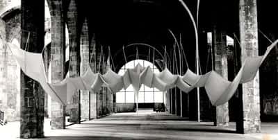Aurèlia Muñoz. Entes