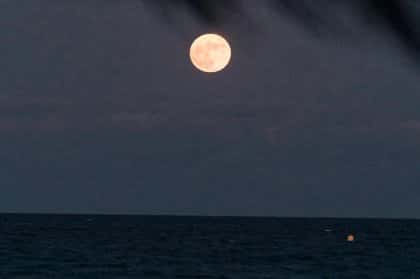 Moonlit Dinners at Beachouse