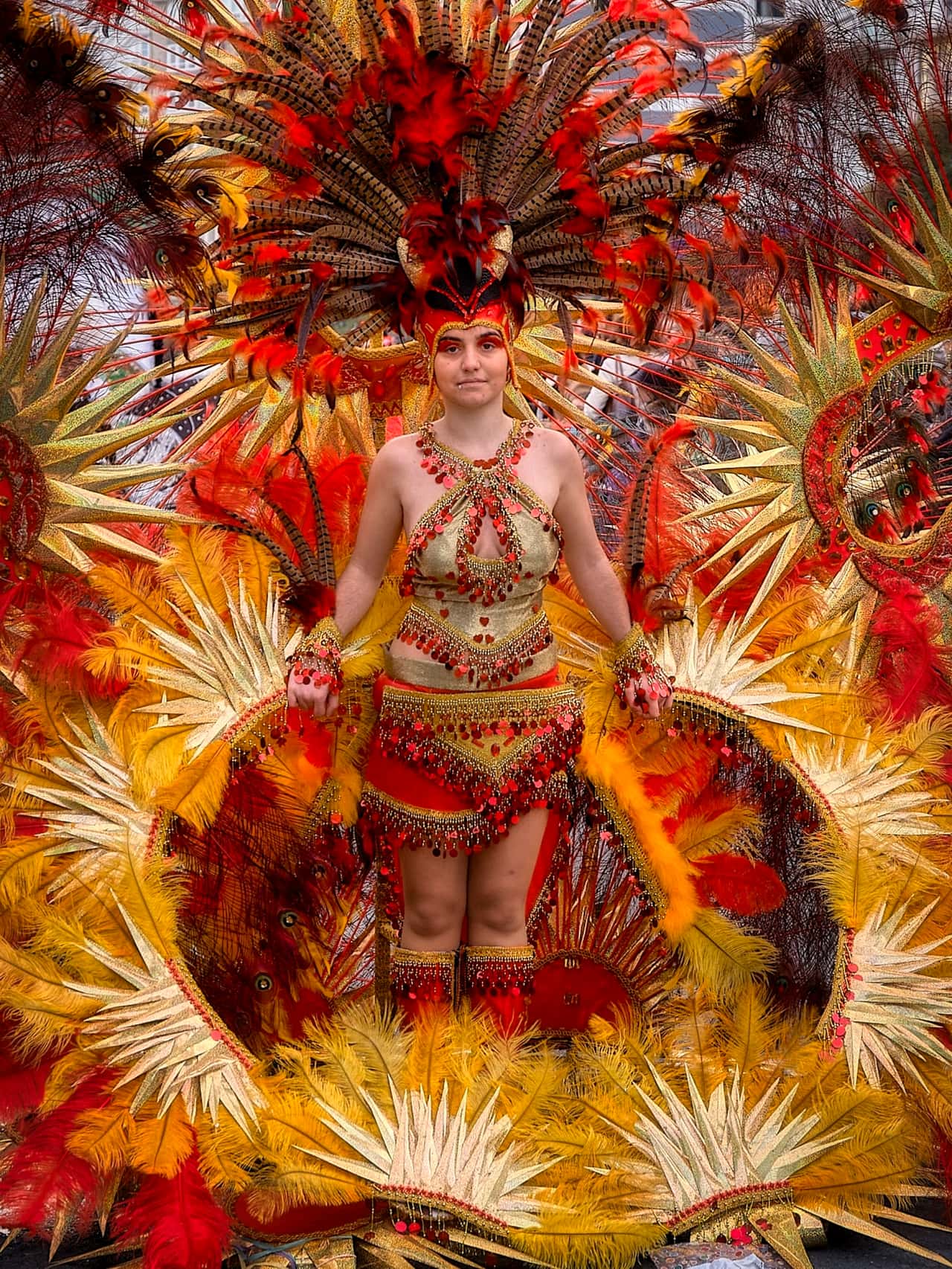 Procesión e Enterro da Sardiña