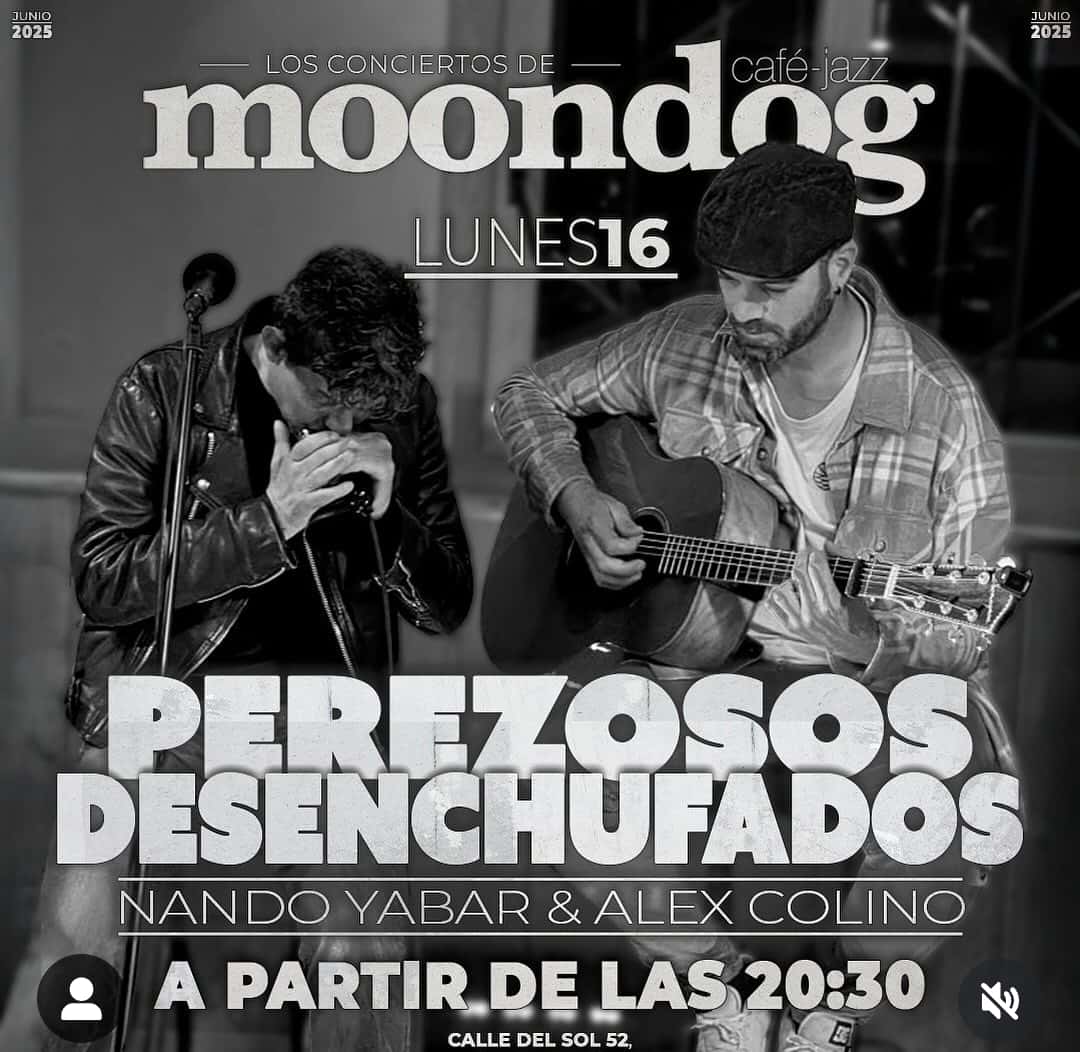 Perezosos Desenchufados en concierto
