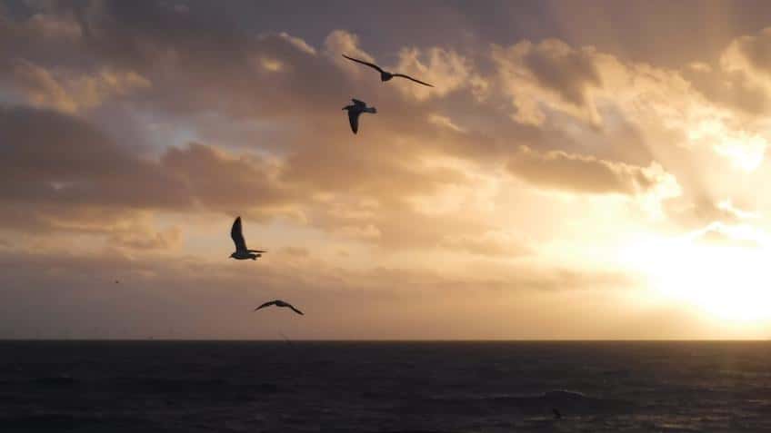 As the Winds and Waters Are