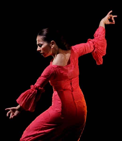 Epílogo de un cante que se hizo baile. Suite de cante