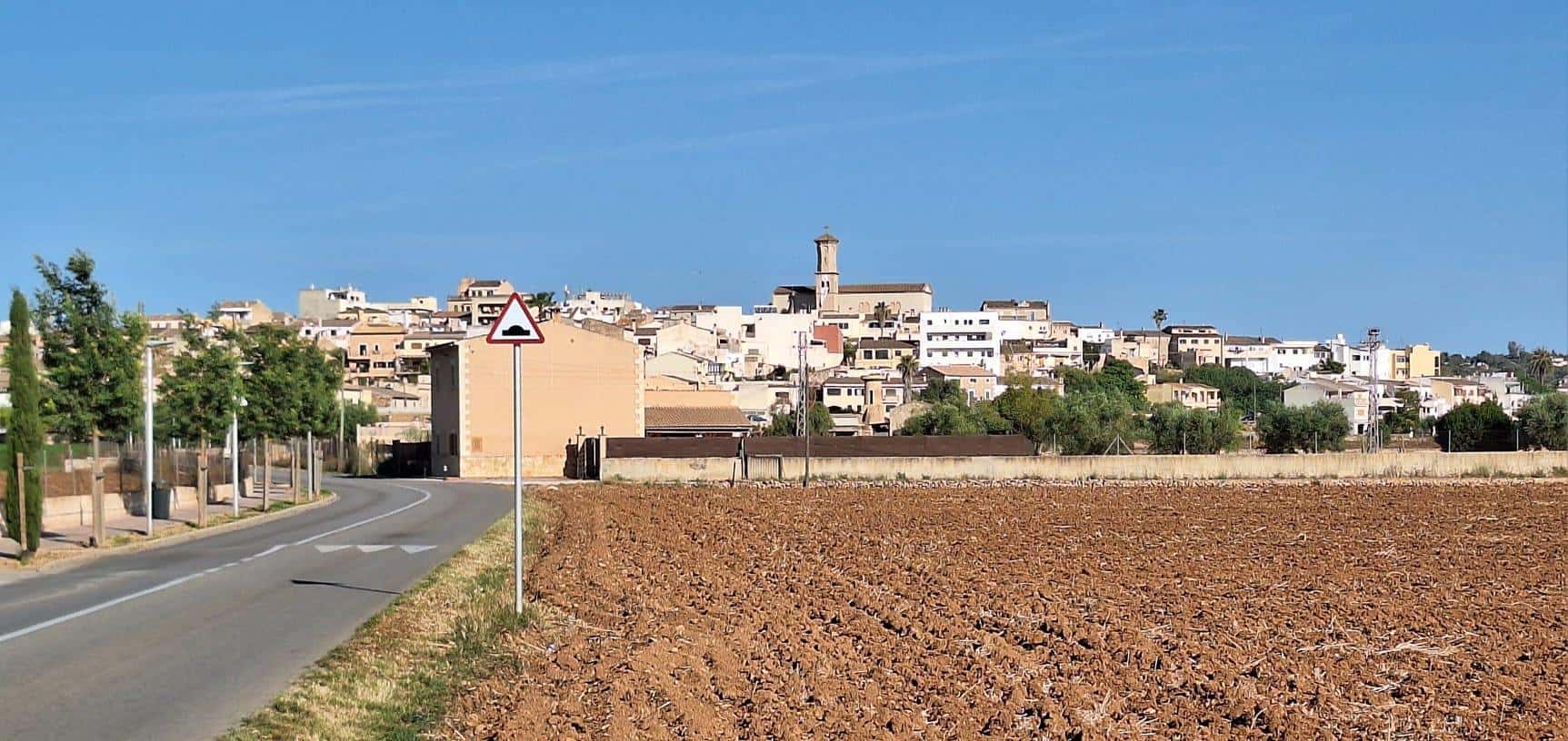 Ruta de librerías con encanto en Palma para Sant Jordi