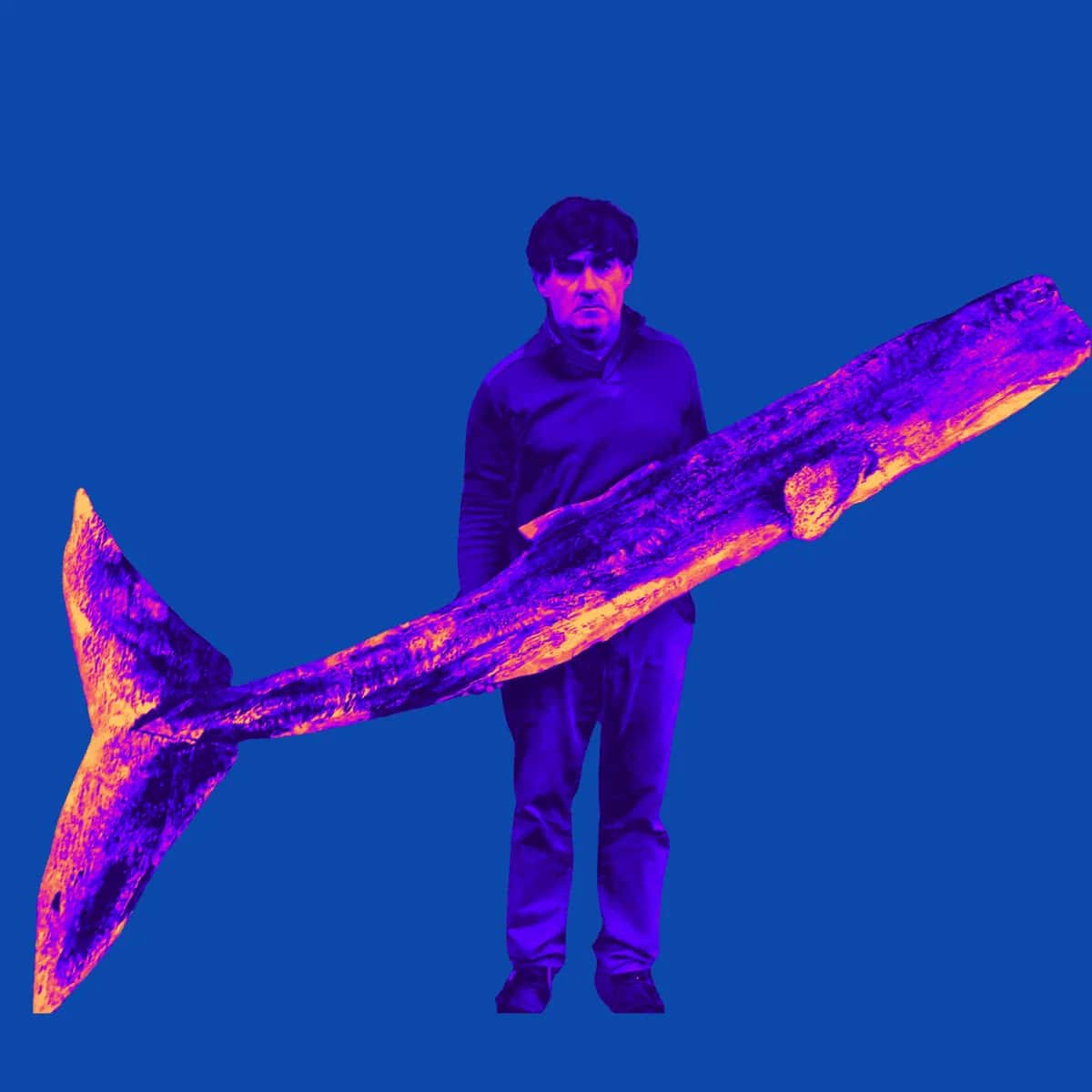 Volta a mar a Betanzos. Baleas, cachalotes, peixes & barcos