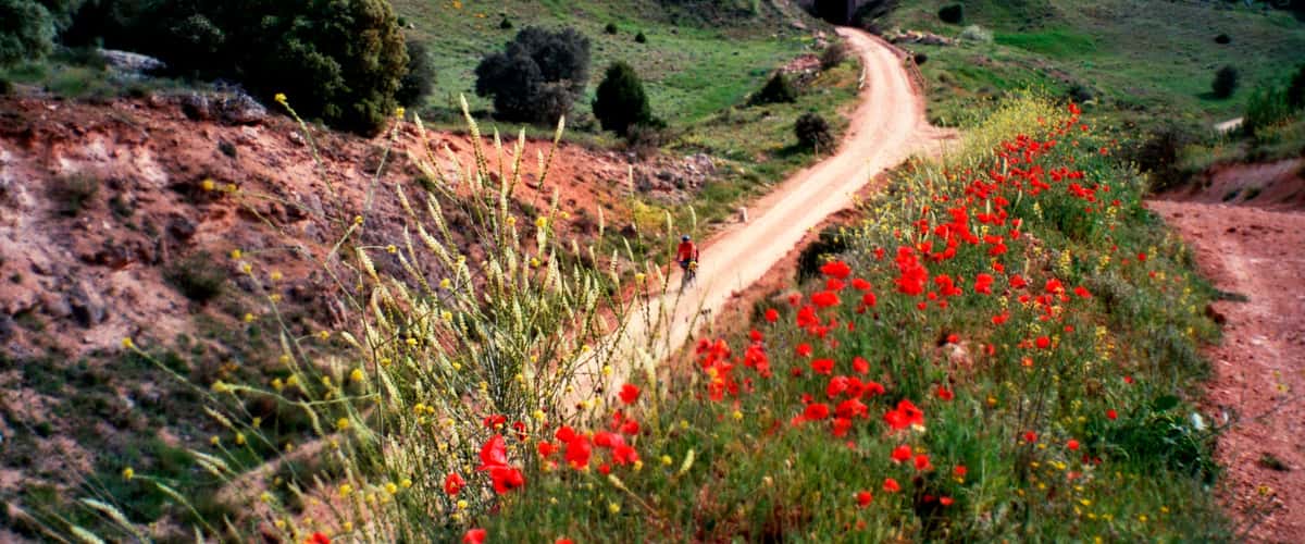 La Vía Verde del Renacimiento en bici por Albacete