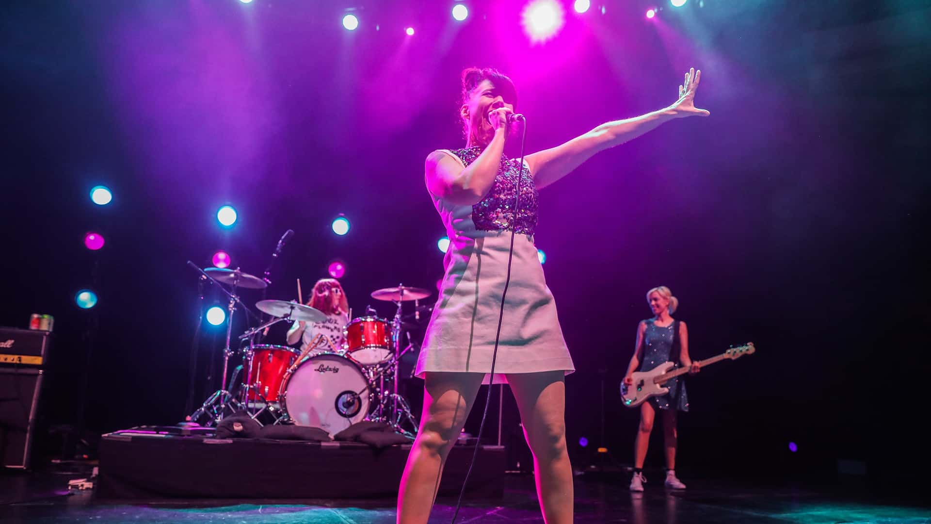 Bikini Kill w/ Die Spitz, Gibby Haynes & More