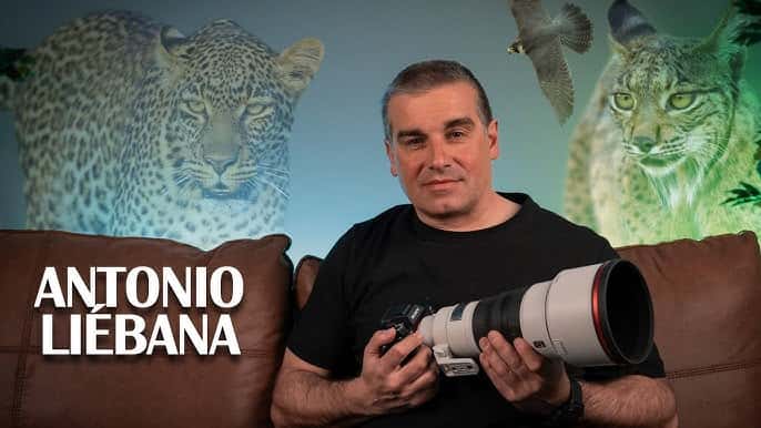 Instantes de vida salvaje