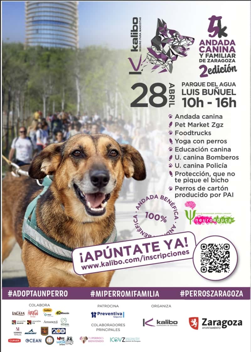 Planes con perro en Zaragoza: la Andada Canina de mayo
