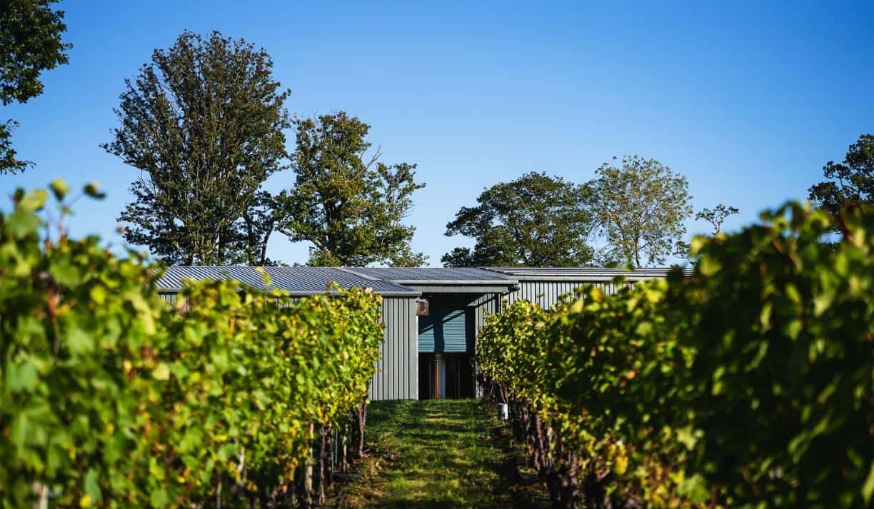 Sussex Sparkling Wines to Try This Summer
