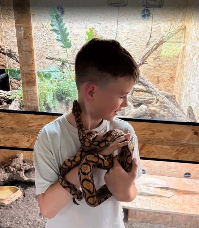 Free Summer Reptile Ranger Places in Dorset