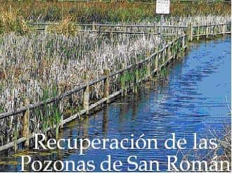 Pozonas de San Román: El Humedal Secreto de Santander