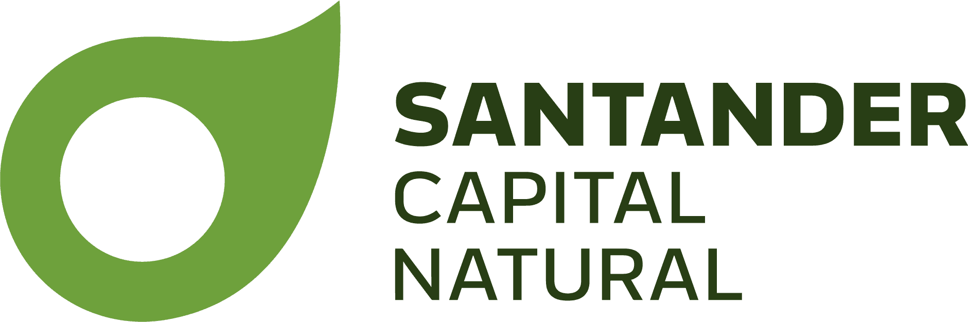 Santander Capital Natural: recolección de semillas silvestres y taller de plantas de aire