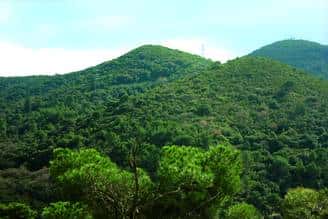 Serralada de Marina: más de 500 especies de mariposas
