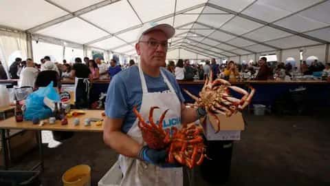 Lorbé nos espera: X Festa da Centola, sabor a mar en Oleiros