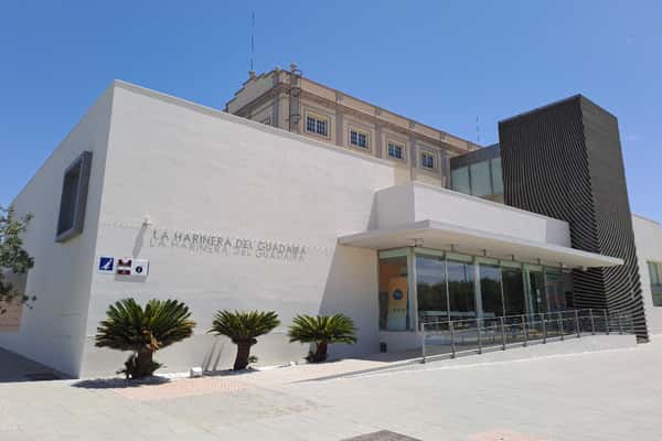 La Filmoteca rescata fiestas veraniegas caseras